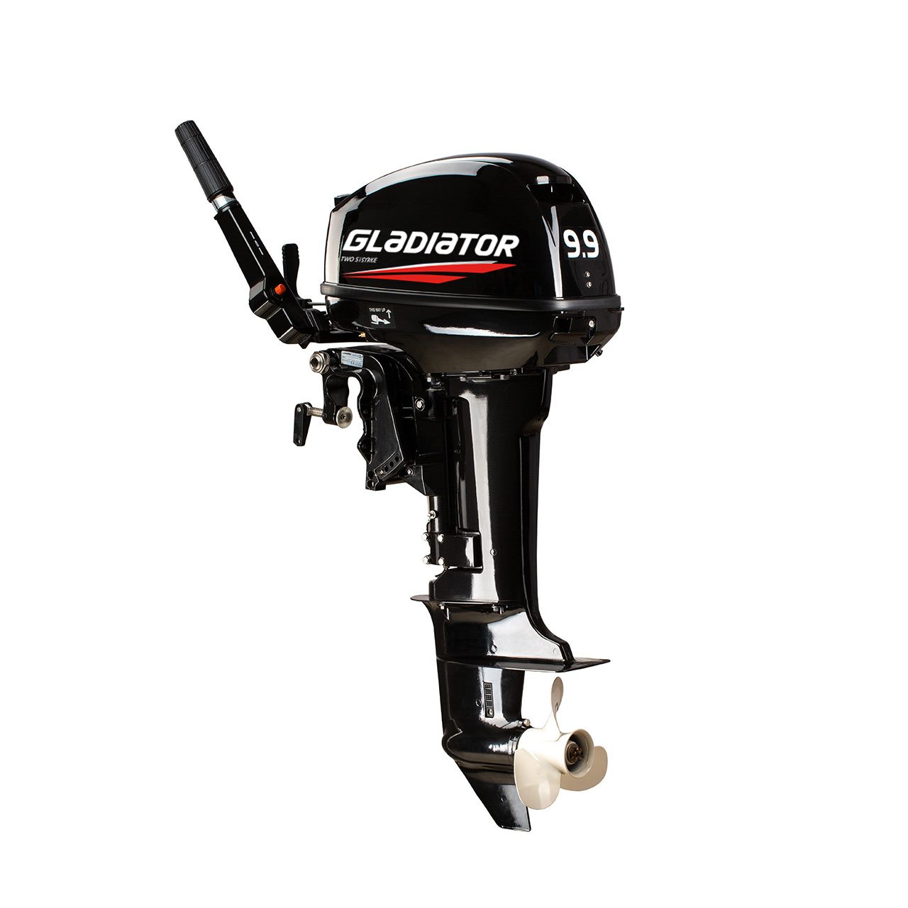 ЛОДОЧНЫЙ МОТОР GLADIATOR G9.9FHS в Нефтеюганске