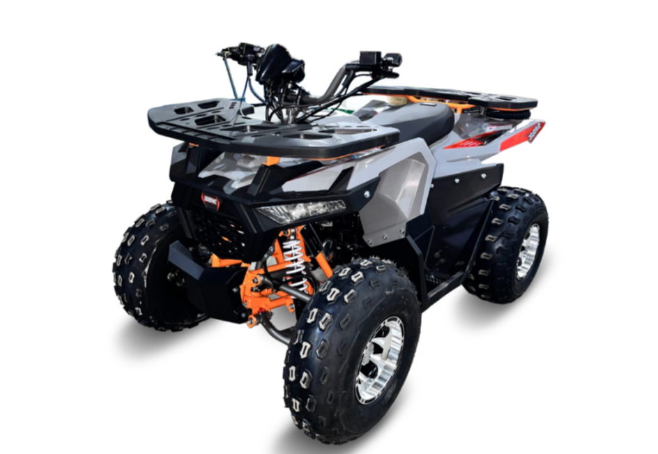 Квадроцикл GBM DAXTER 220 NEW PREMIUM в Нефтеюганске