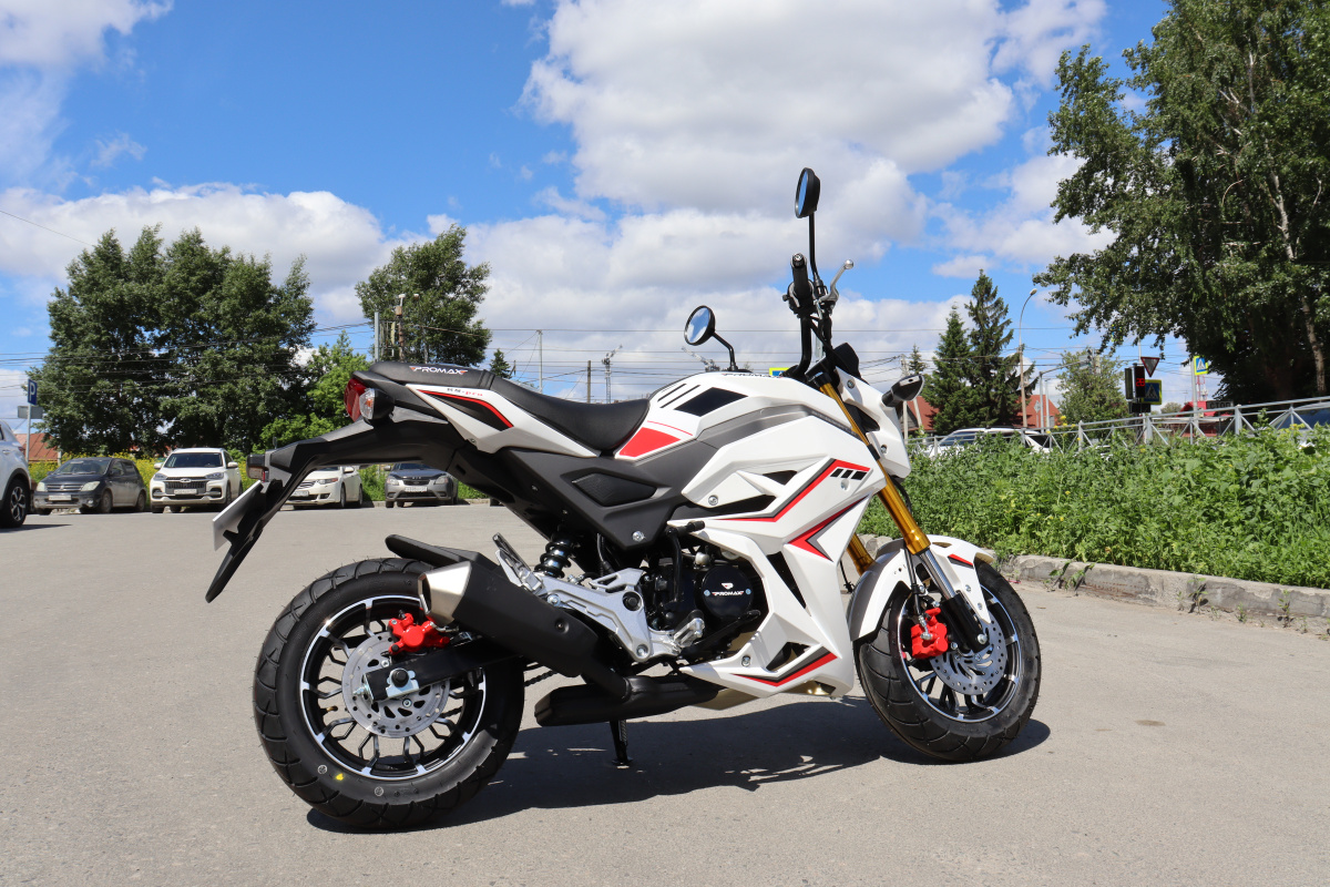 Мотоцикл PROMAX STRYKER 200(49) 2.0 в Нефтеюганске