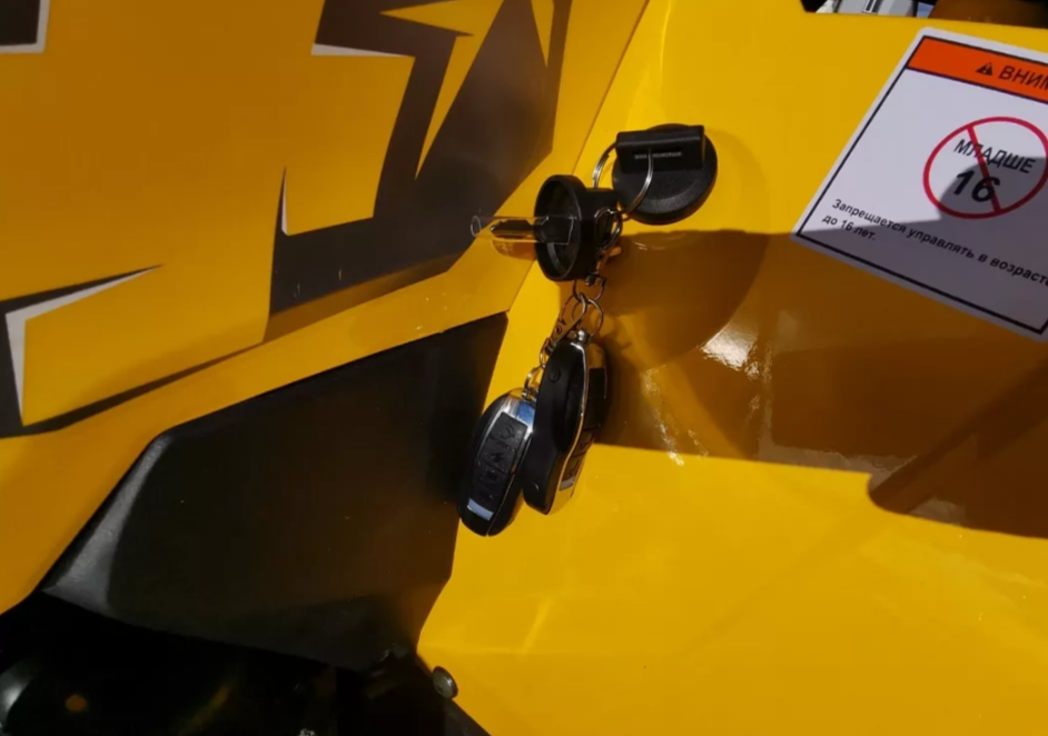 Квадроцикл MOTOLAND (МОТОЛЕНД) VOX200 WILD TRACK X PRO (баланс. вал) в Нефтеюганске