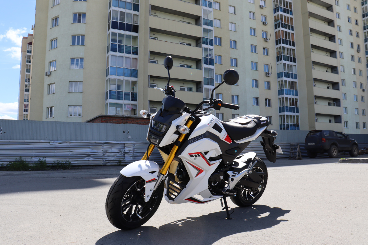 Мотоцикл PROMAX STRYKER 200(49) 2.0 в Нефтеюганске