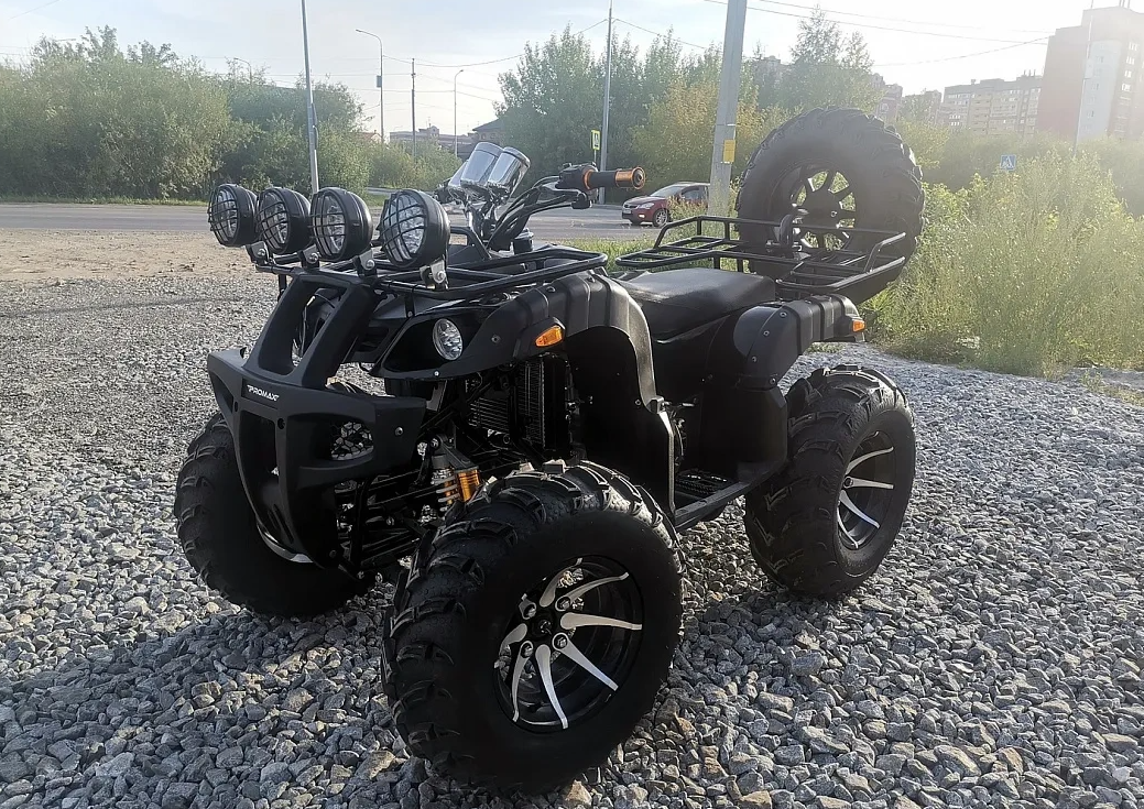 Квадроцикл PROMAX LEO 300 Max (кардан) в Нефтеюганске