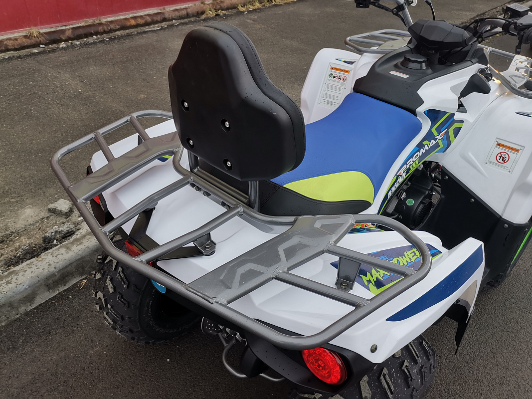Квадроцикл PROMAX RENEGADE 280 LUX (2025) в Нефтеюганске