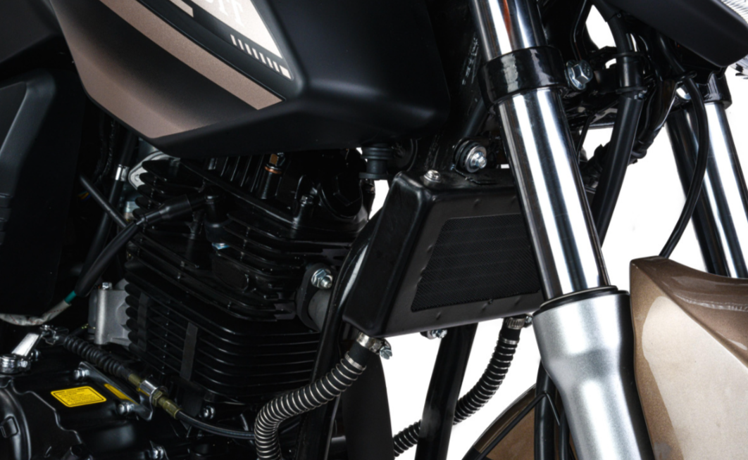 Мотоцикл MOTOLAND (МОТОЛЕНД) 300 BANDIT в Нефтеюганске