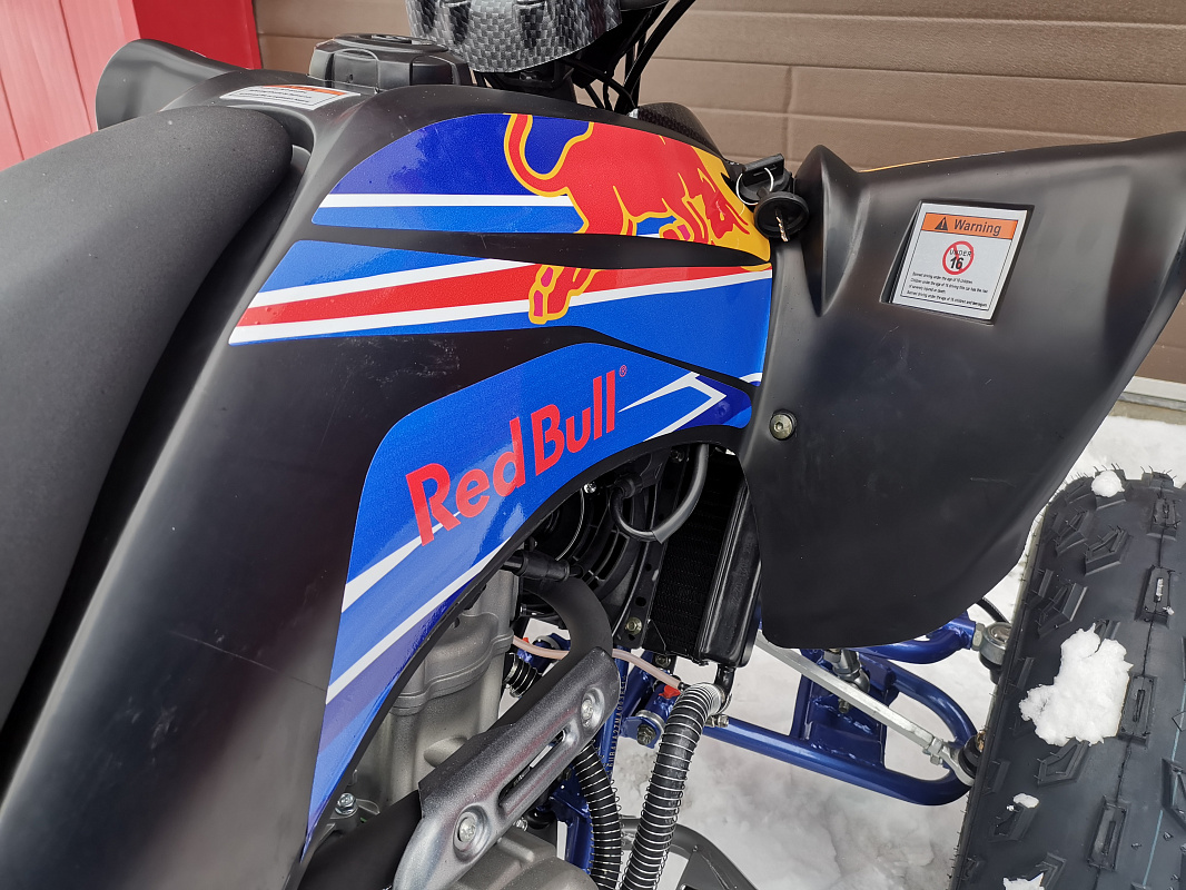 Квадроцикл PROMAX RAPTOR 300 NEW RedBull в Нефтеюганске