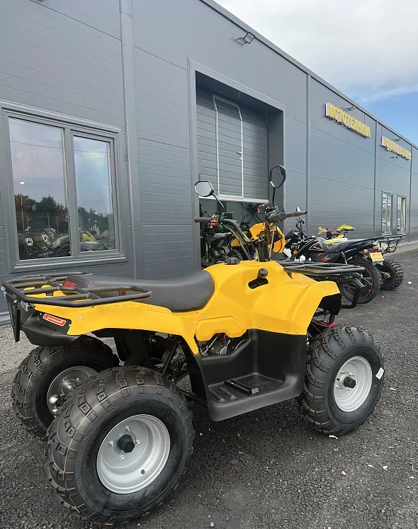 КВАДРОЦИКЛ IRBIS ATV 250  в Нефтеюганске