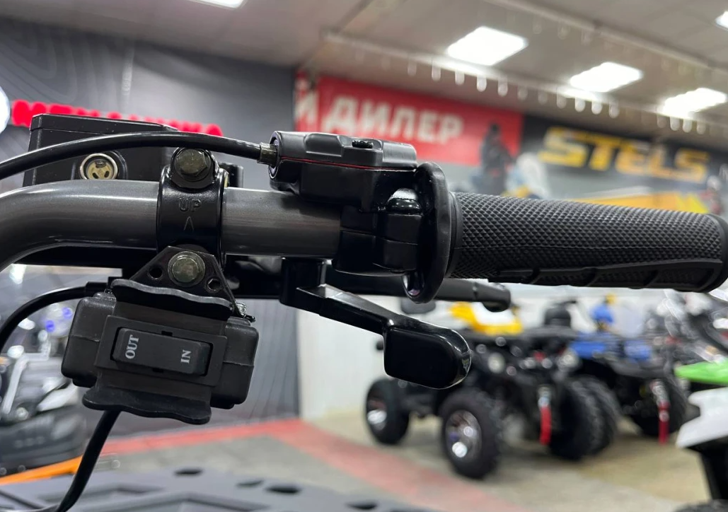 Квадроцикл PROMAX RENEGADE 300 LONG WINCH PRO (2025) в Нефтеюганске