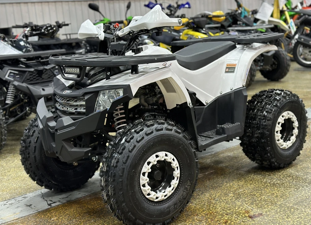 Квадроцикл PROMAX WILD 2.0 190 в Нефтеюганске