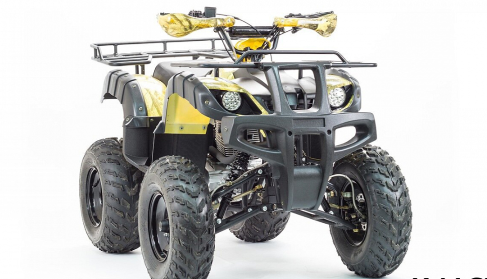 Квадроцикл MOTOLAND (МОТОЛЕНД) 250 ADVENTURE в Нефтеюганске