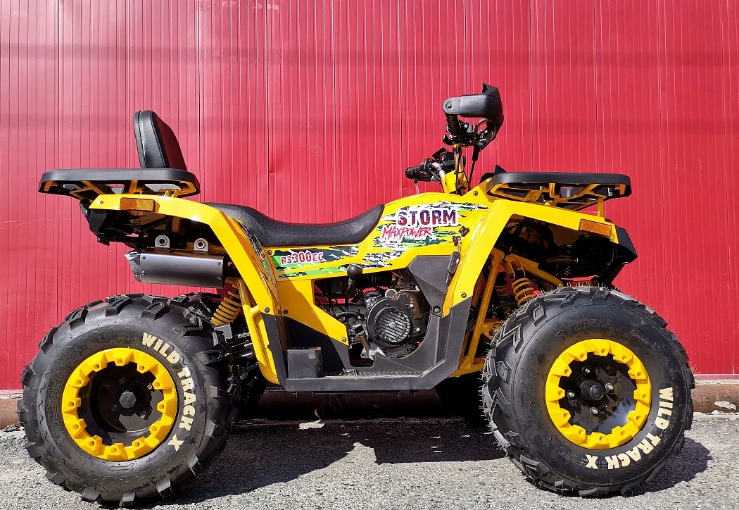 Квадроцикл PROMAX STORM 280 LUX в Нефтеюганске