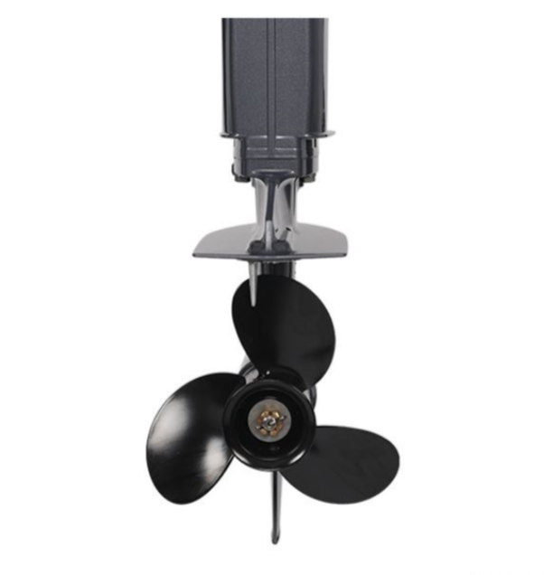 Лодочный мотор ALLFA CG Т40FW S в Нефтеюганске