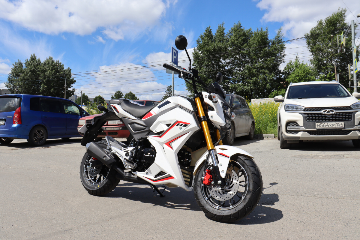 Мотоцикл PROMAX STRYKER 200(49) 2.0 в Нефтеюганске