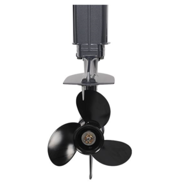 Лодочный мотор ALLFA CG Т40FWT S в Нефтеюганске