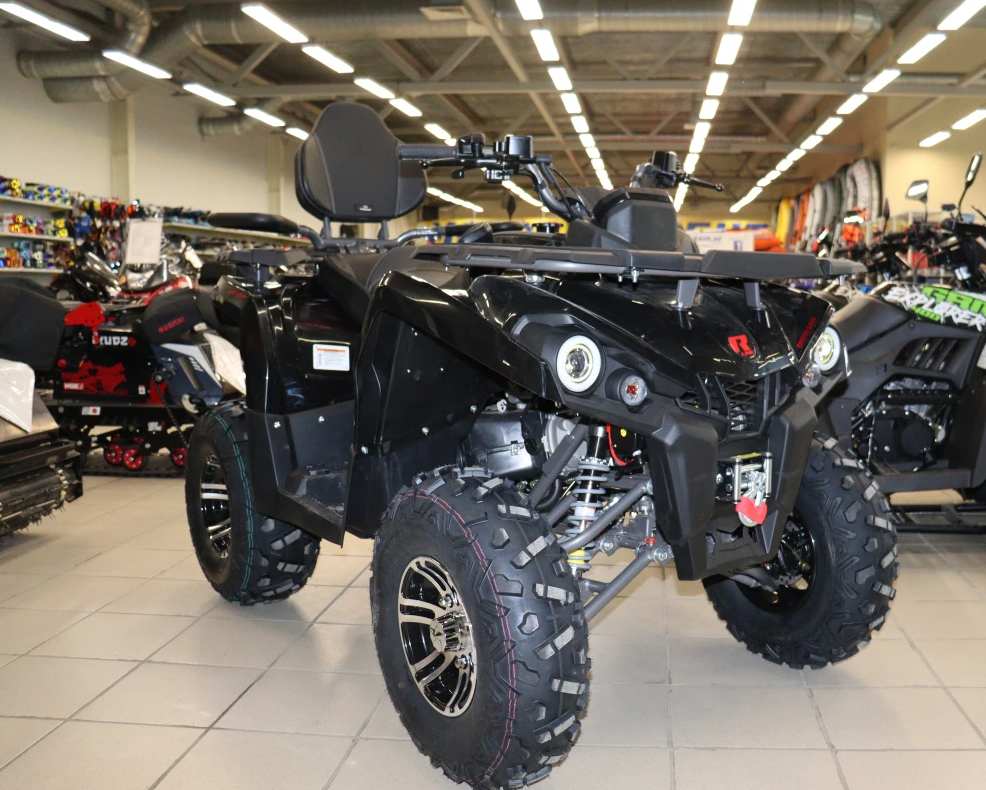 Квадроцикл PROMAX RENEGADE 300 LONG WINCH PRO (2025) в Нефтеюганске