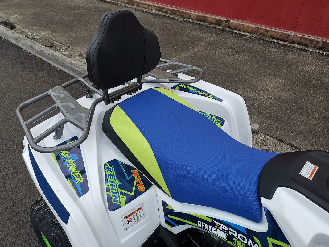 Квадроцикл PROMAX RENEGADE 280 LUX (2025) в Нефтеюганске