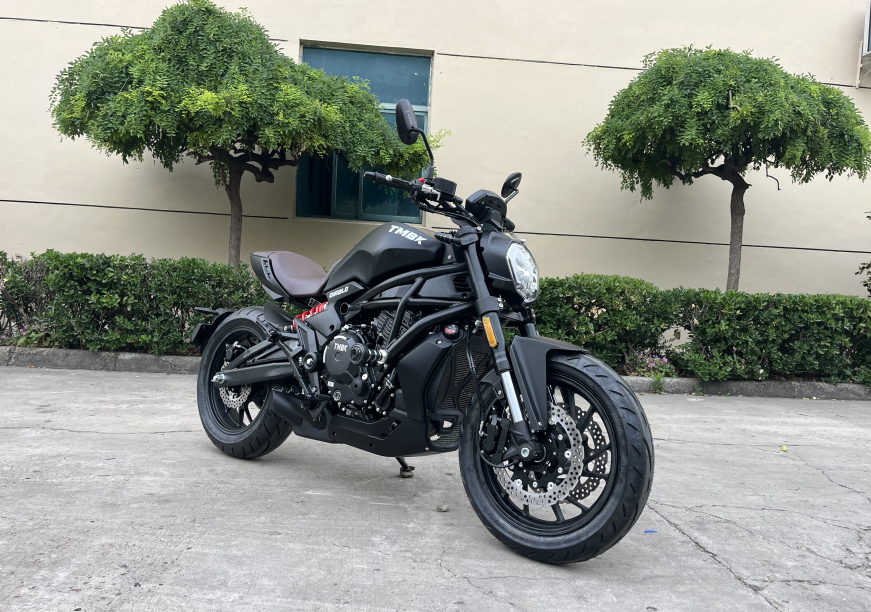 Мотоцикл TMBK Diablo 650cc EFI, ABS в Нефтеюганске