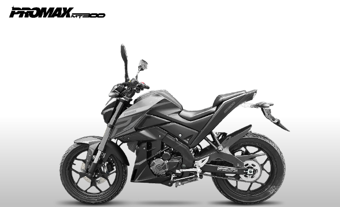 Мотоцикл PROMAX MT300 в Нефтеюганске