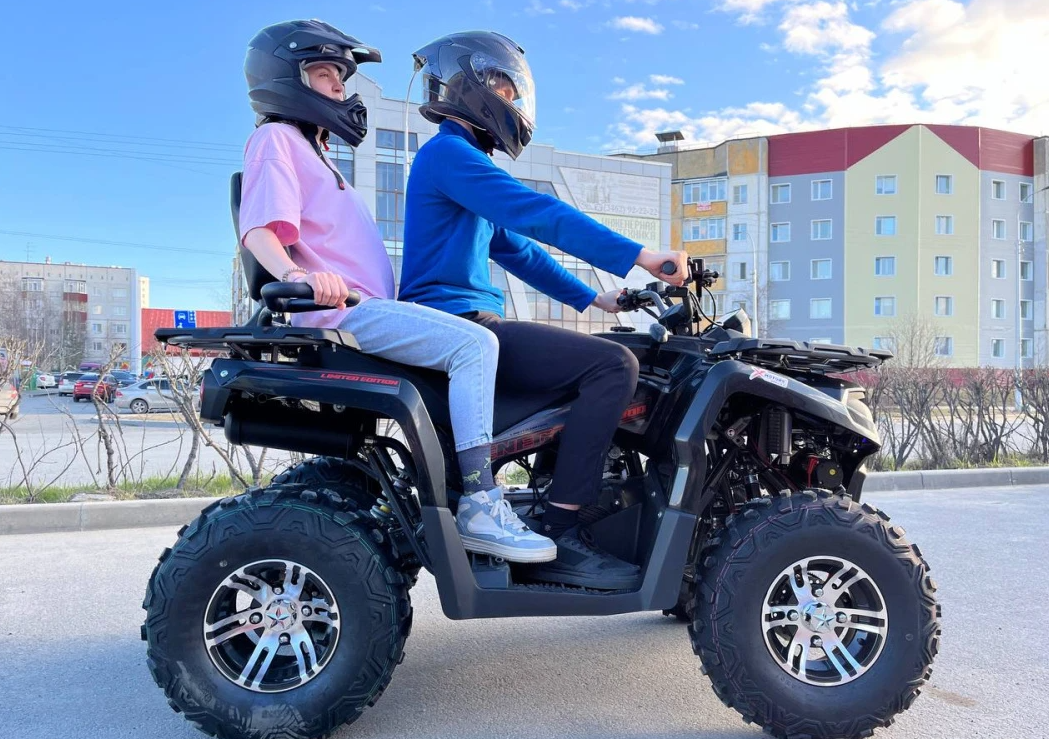 Квадроцикл PROMAX RENEGADE 300 LONG WINCH PRO (2025) в Нефтеюганске