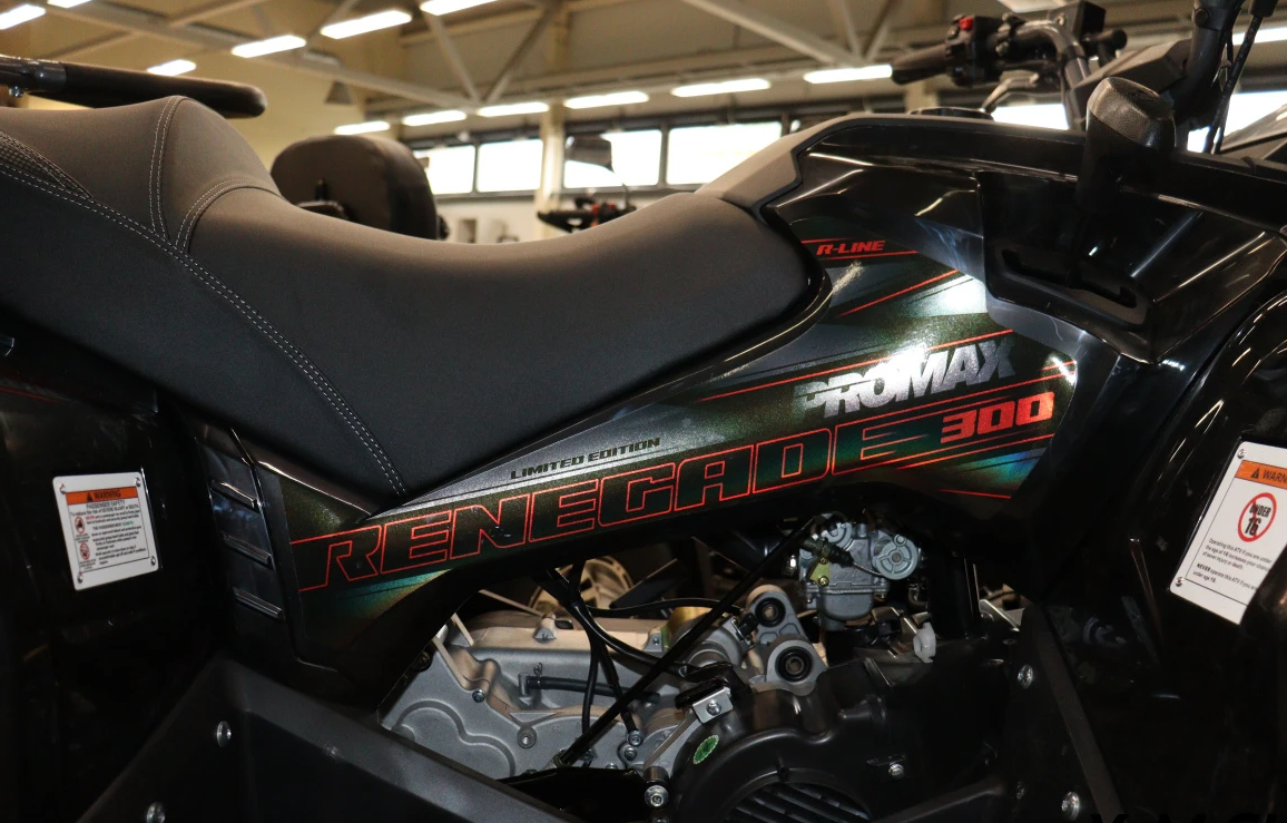Квадроцикл PROMAX RENEGADE 300 LONG WINCH PRO (2025) в Нефтеюганске
