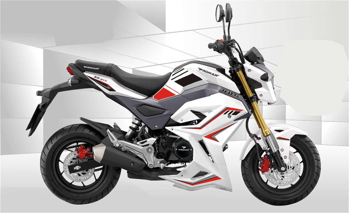 Мотоцикл PROMAX STRYKER 200(49) 2.0 в Нефтеюганске