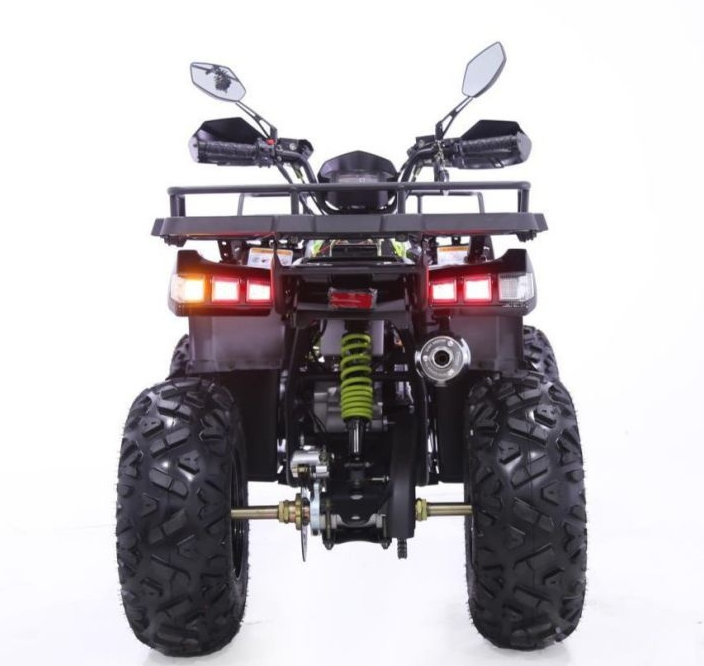 Квадроцикл YACOTA WARRIOR 200 PRO в Нефтеюганске