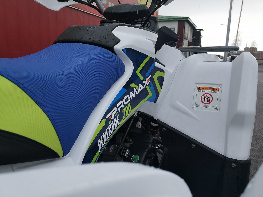 Квадроцикл PROMAX RENEGADE 280 LUX (2025) в Нефтеюганске