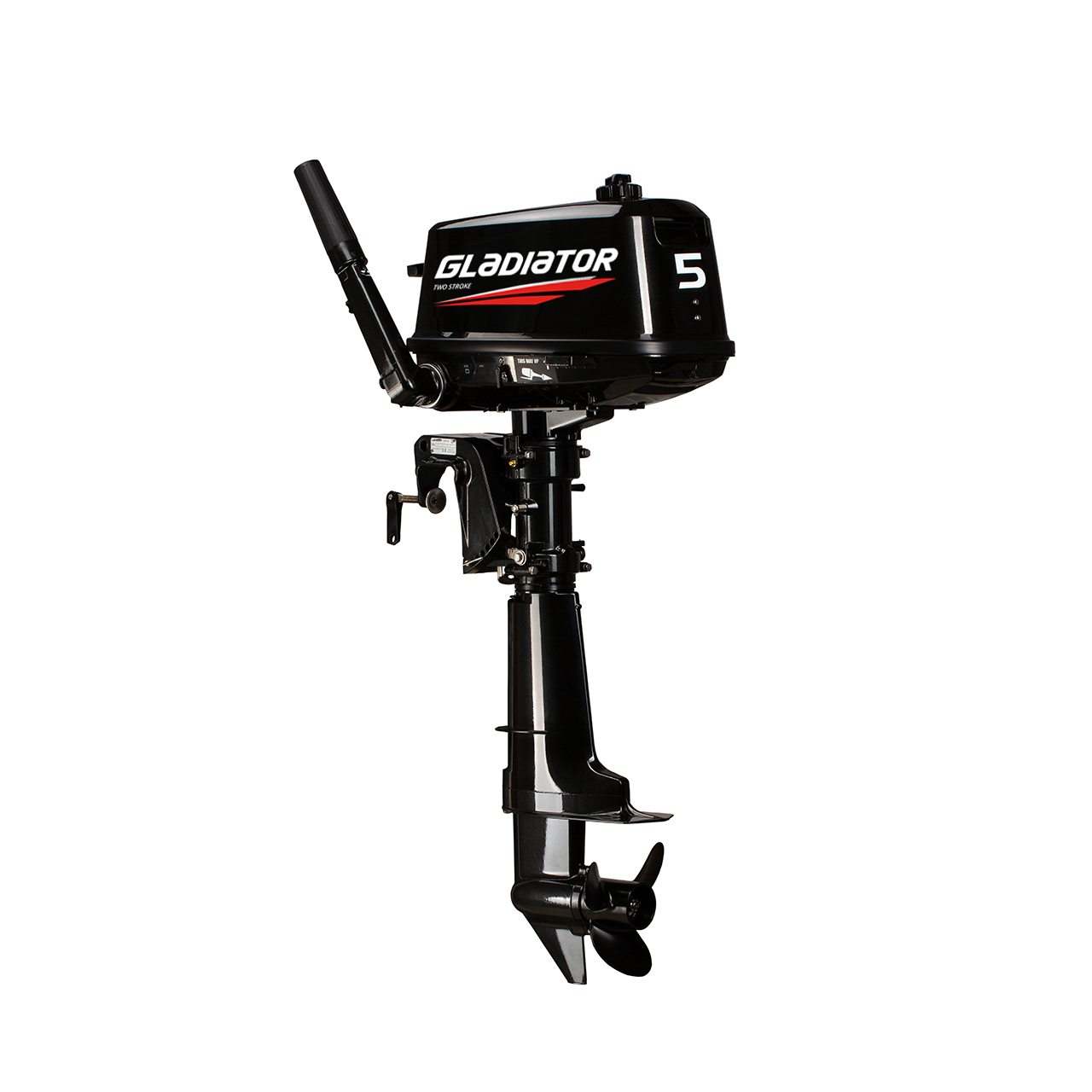 ЛОДОЧНЫЙ МОТОР GLADIATOR G5FHS в Нефтеюганске