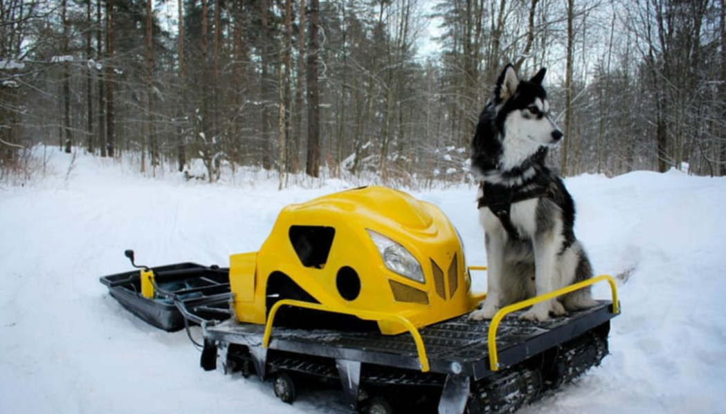 Мотобуксировщик LEBEDEV MOTORS ВОЛКОДАВ POWER V13 в Нефтеюганске