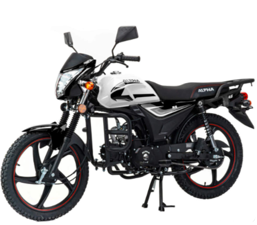Мопед MOTOLAND (МОТОЛЕНД) Альфа RS 11 (LM48-B) в Нефтеюганске