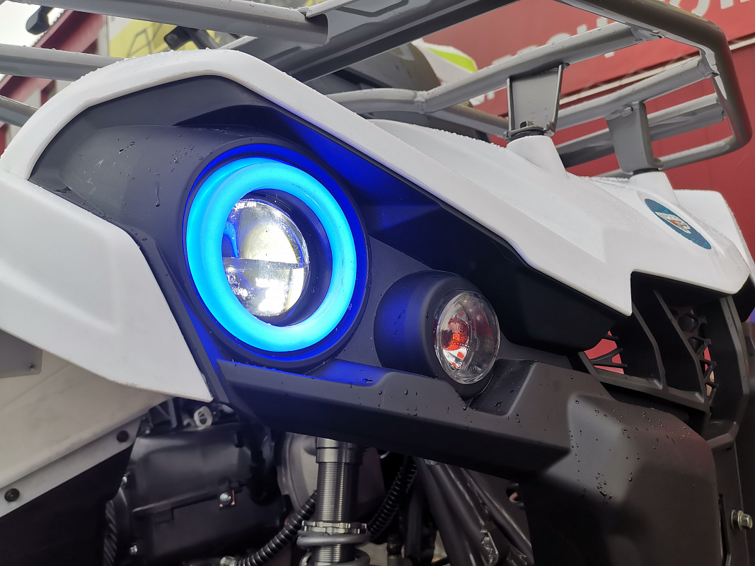 Квадроцикл PROMAX RENEGADE 280 LUX (2025) в Нефтеюганске