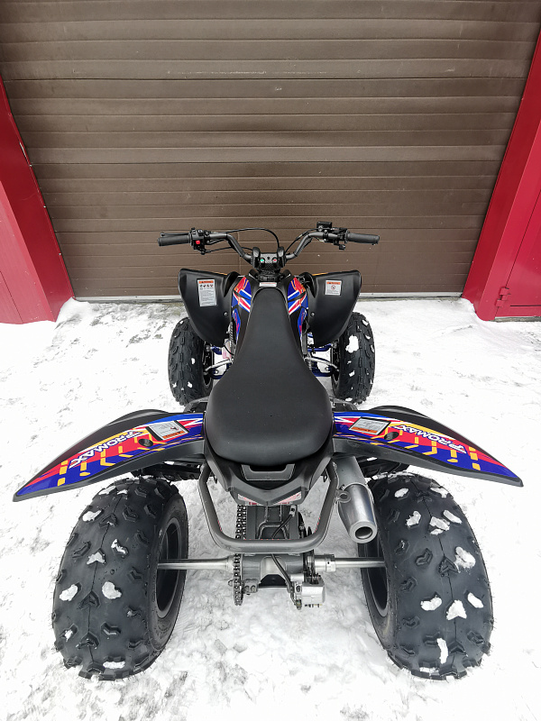 Квадроцикл PROMAX RAPTOR 300 NEW RedBull в Нефтеюганске