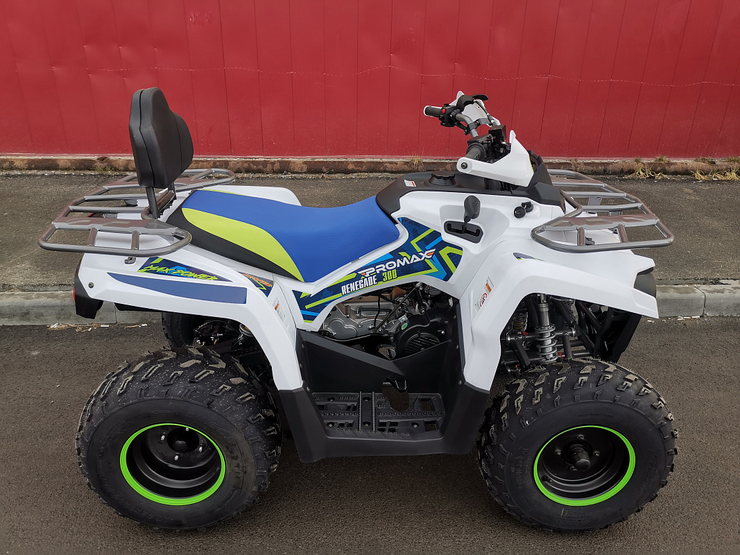 Квадроцикл PROMAX RENEGADE 280 LUX (2025) в Нефтеюганске