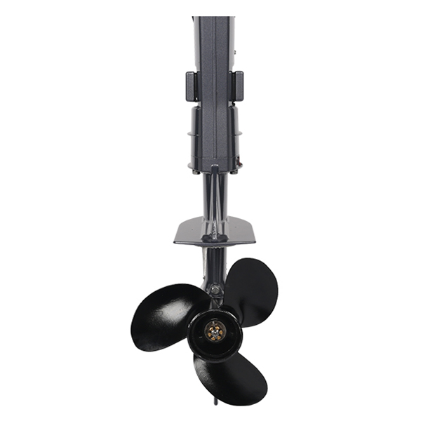 ЛОДОЧНЫЙ МОТОР ALLFA CG T5 в Нефтеюганске