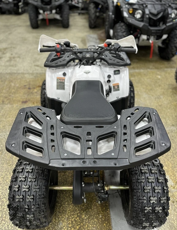 Квадроцикл PROMAX WILD 2.0 190 в Нефтеюганске