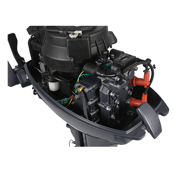 ЛОДОЧНЫЙ МОТОР ALLFA CG Т9,9 в Нефтеюганске