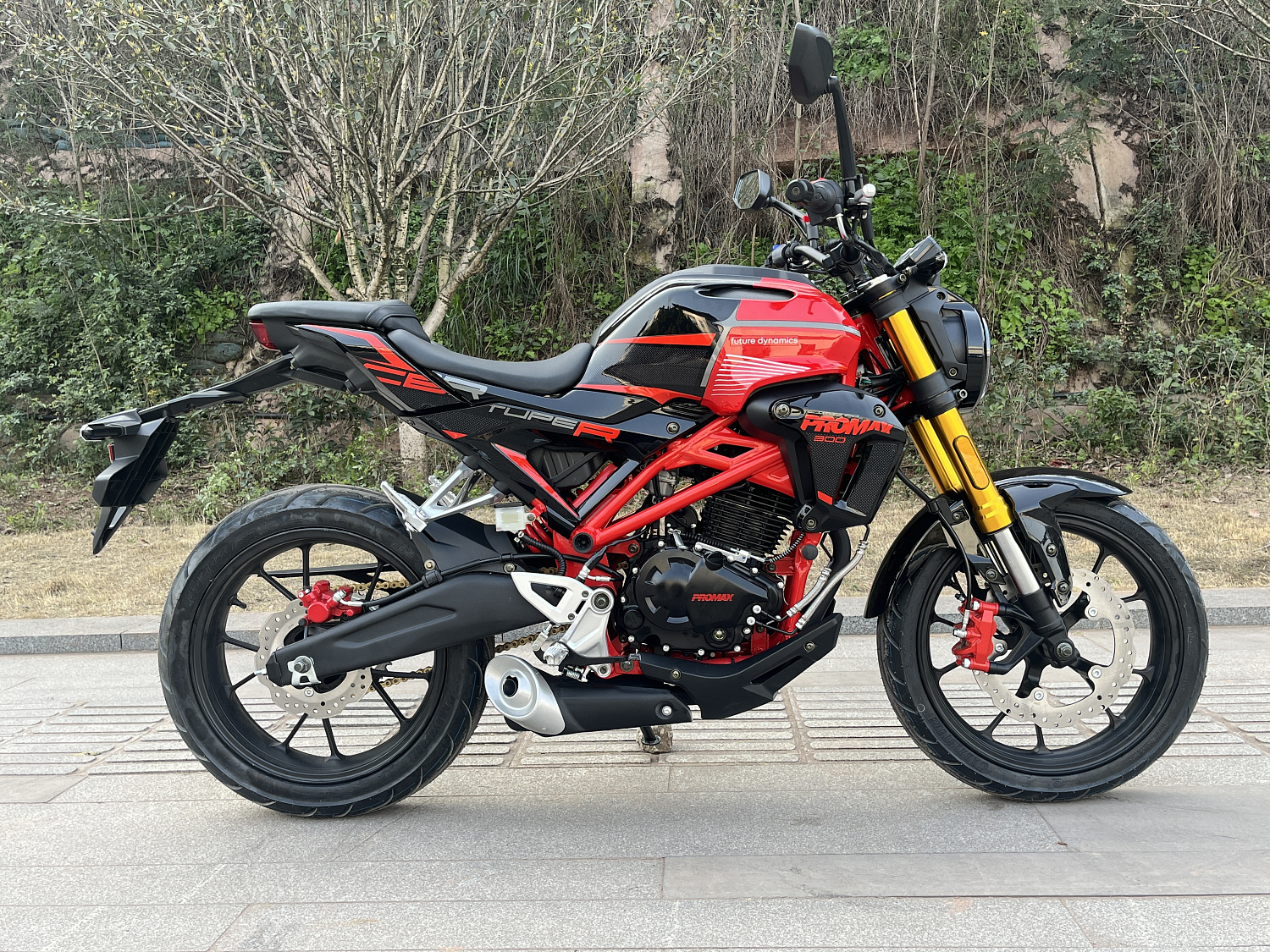 Мотоцикл PROMAX CB300 в Нефтеюганске