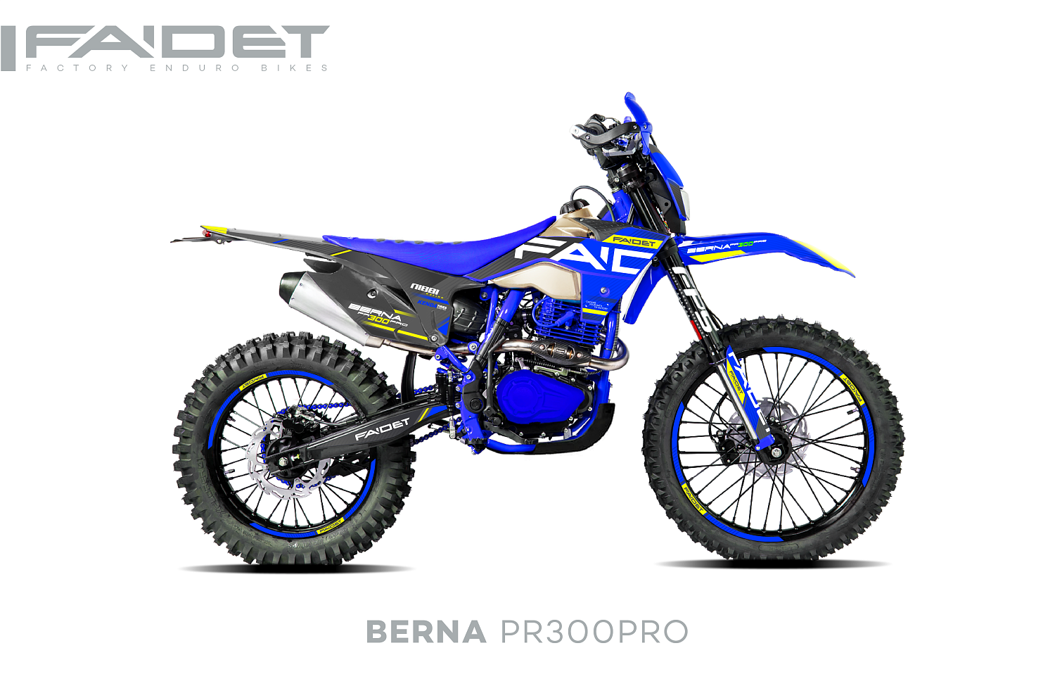 Кроссовый мотоцикл FAIDET BERNA PR300-PRO FPS в Нефтеюганске