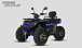 Квадроцикл PROMAX TAURUS 300 MAX-PRO LONG в Нефтеюганске