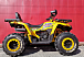 Квадроцикл PROMAX STORM 280 LUX в Нефтеюганске