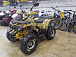 Квадроцикл PROMAX STORM 190 PRO в Нефтеюганске