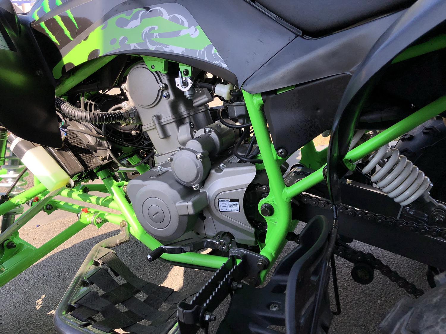 Квадроцикл PROMAX RAPTOR 300 NEW Monster в Нефтеюганске