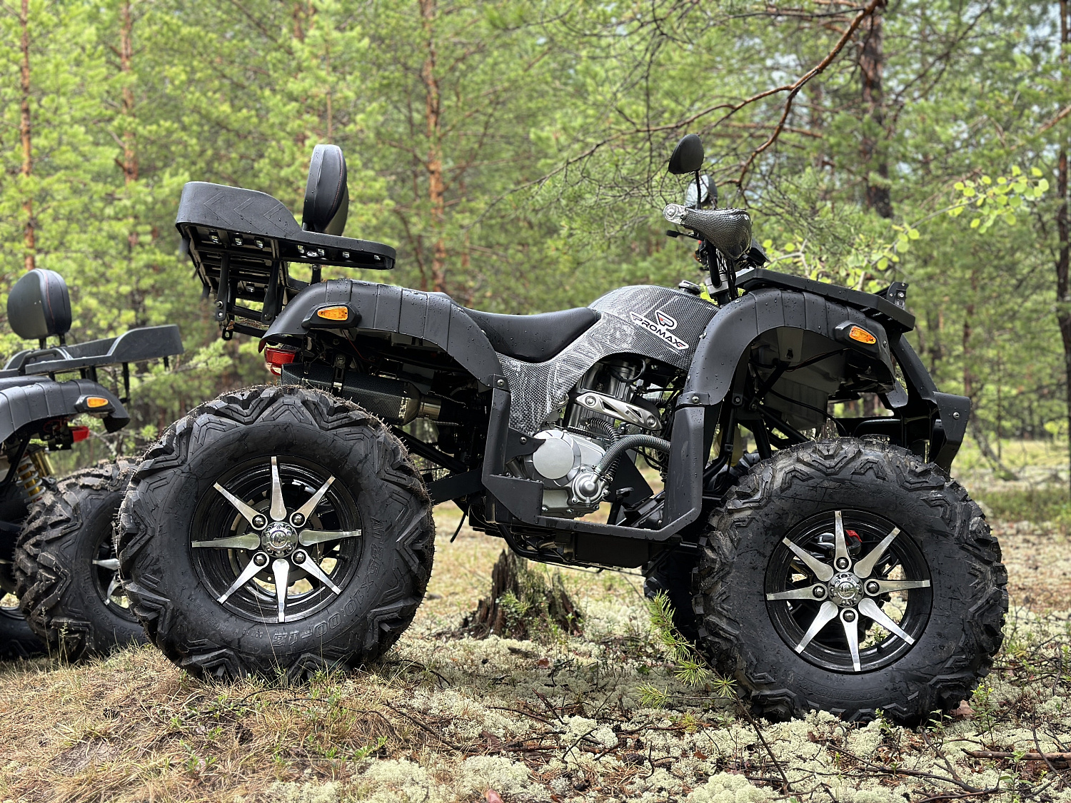 Квадроцикл PROMAX 320 DOMINATOR PRO (2025) в Нефтеюганске