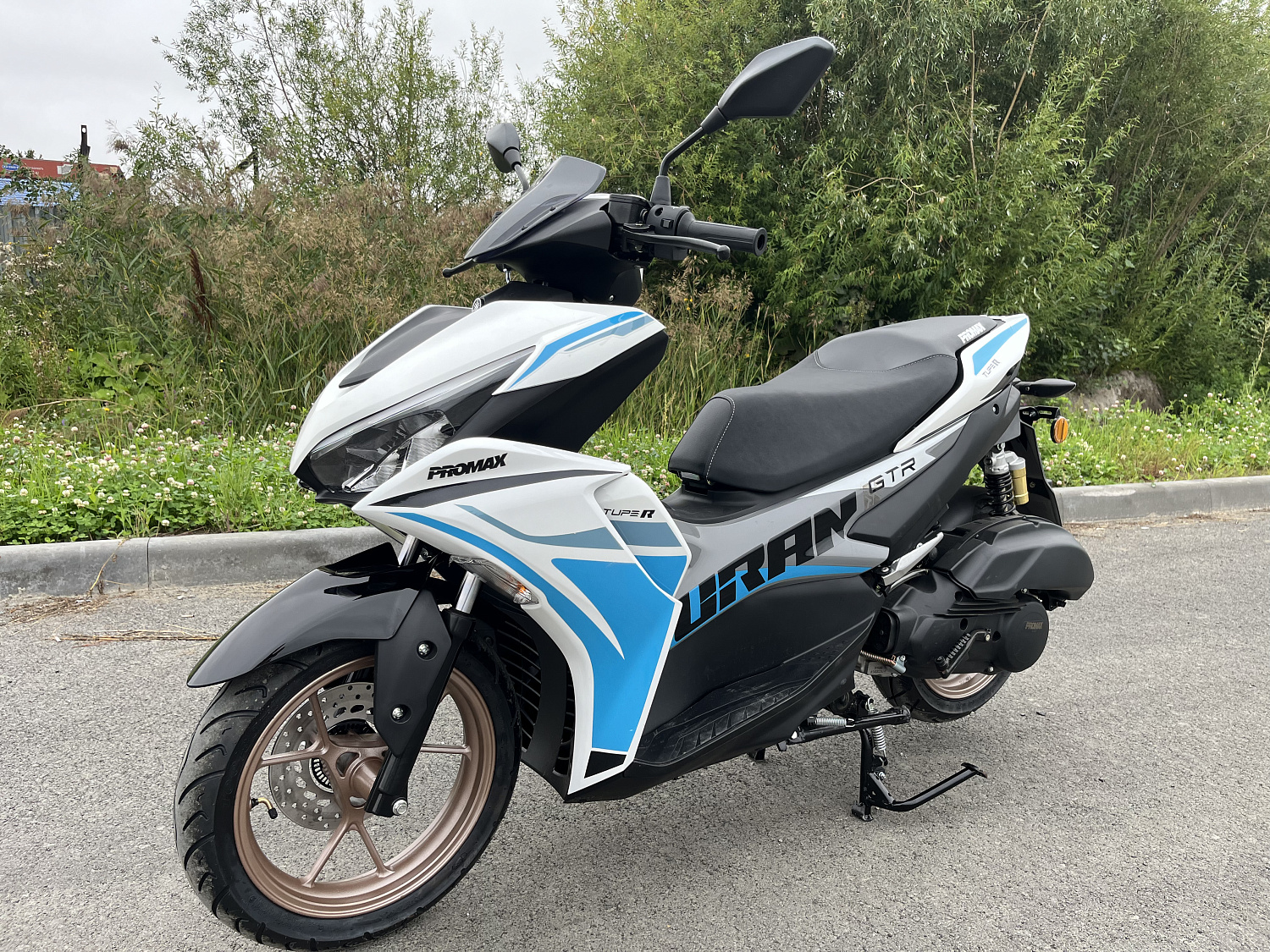 Скутер PROMAX TURAN 250 (49) в Нефтеюганске