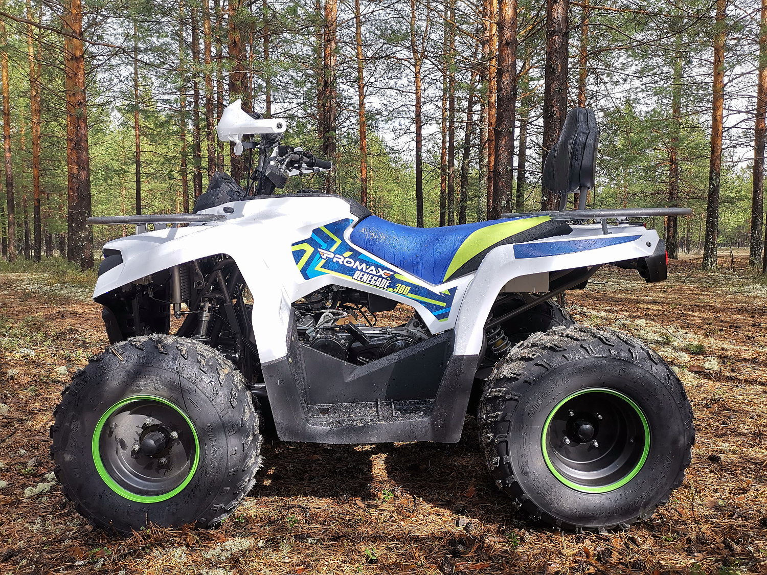 Квадроцикл PROMAX RENEGADE 280 (2025) в Нефтеюганске