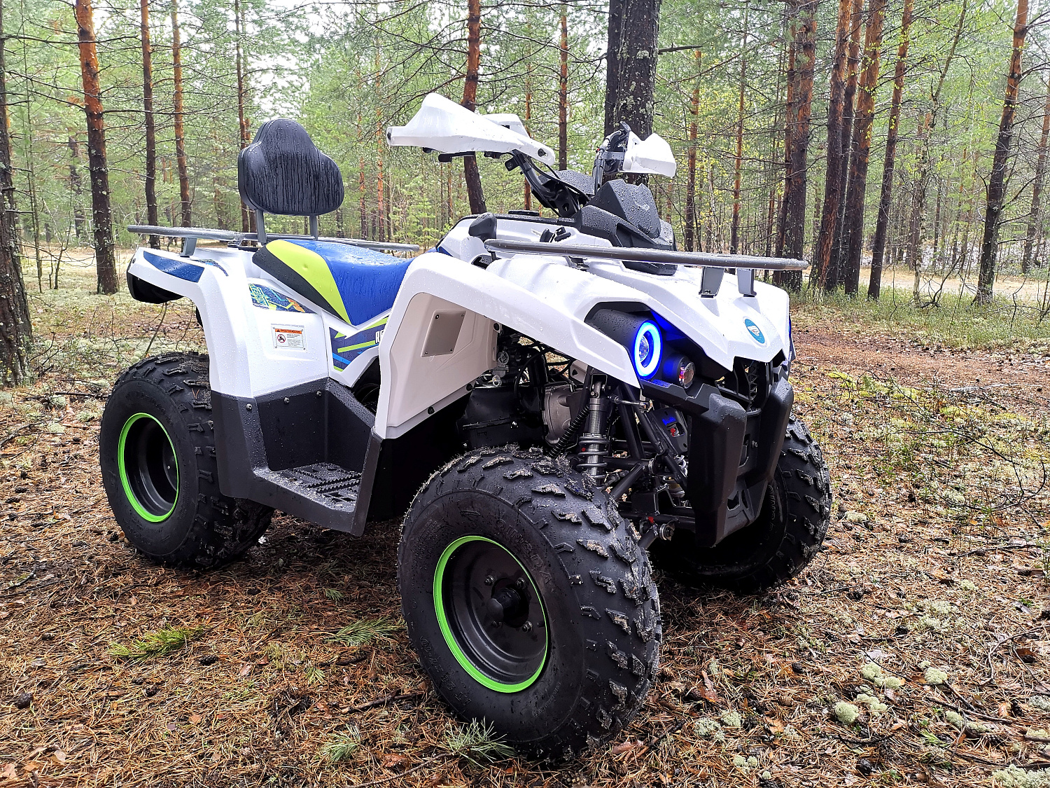 Квадроцикл PROMAX RENEGADE 280 (2025) в Нефтеюганске