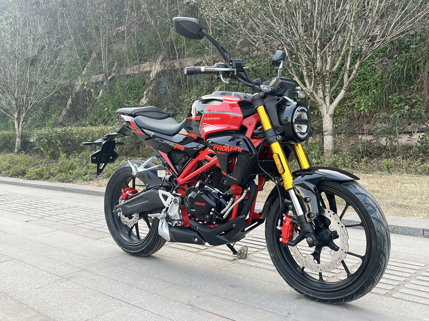 Мотоцикл PROMAX CB300 в Нефтеюганске