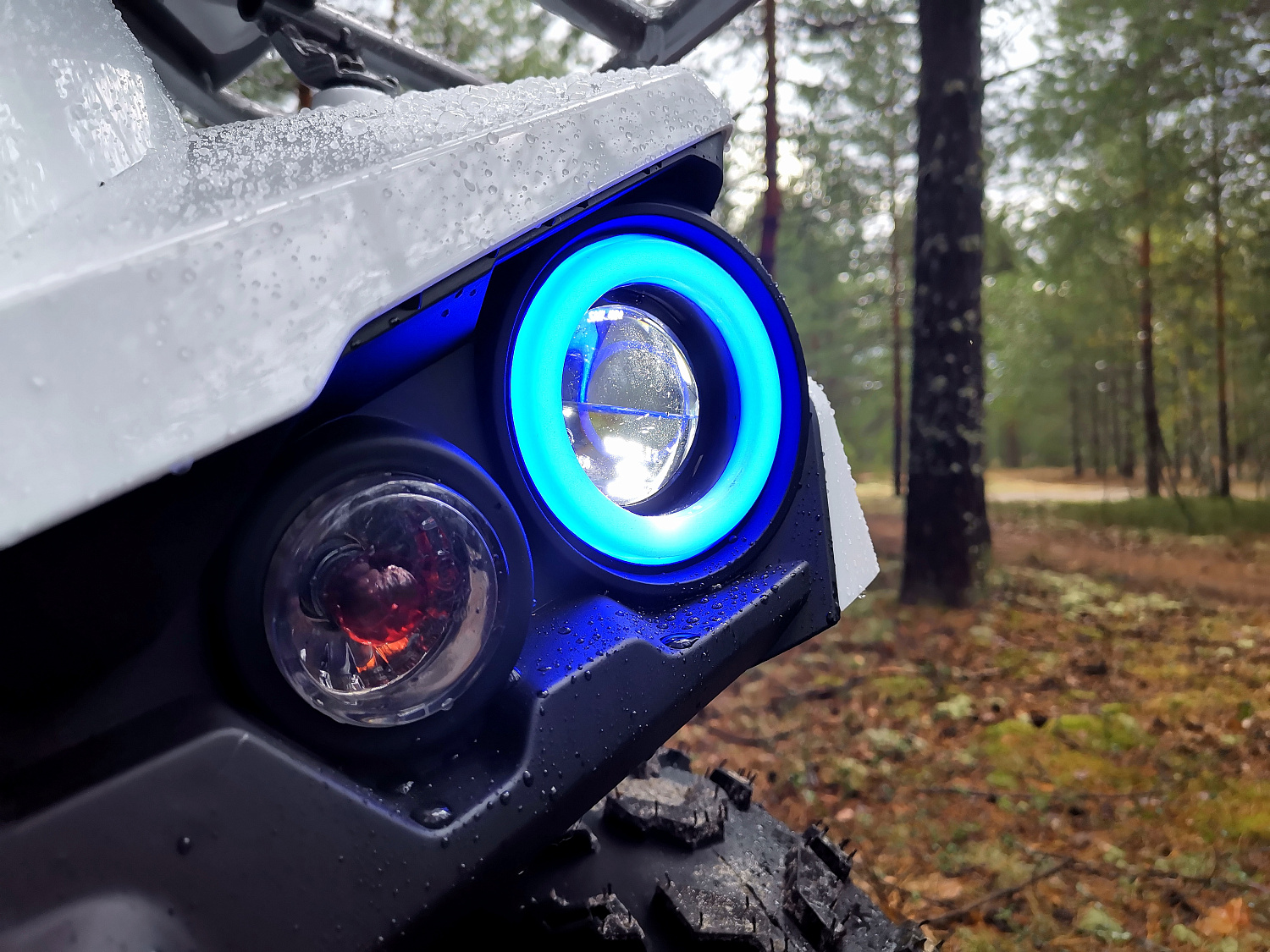 Квадроцикл PROMAX RENEGADE 280 (2025) в Нефтеюганске