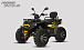 Квадроцикл PROMAX TAURUS 300 MAX-PRO LONG в Нефтеюганске